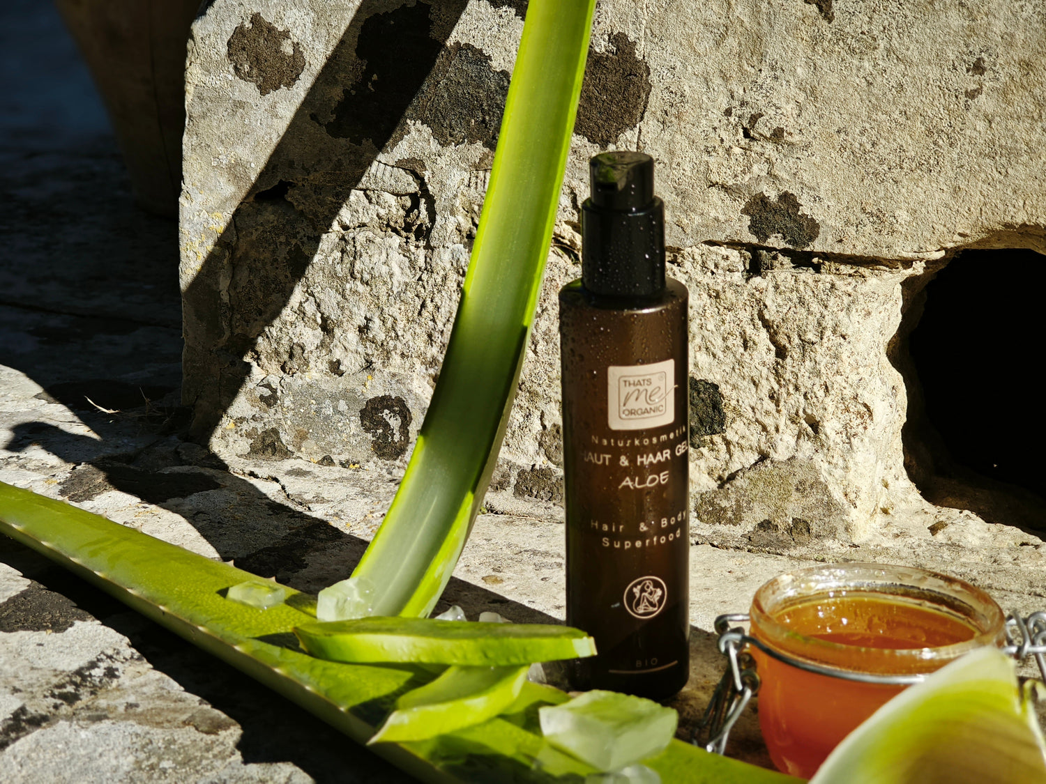 Aloe Vera – die Heilpflanze voller Frische & natürlicher Pflege