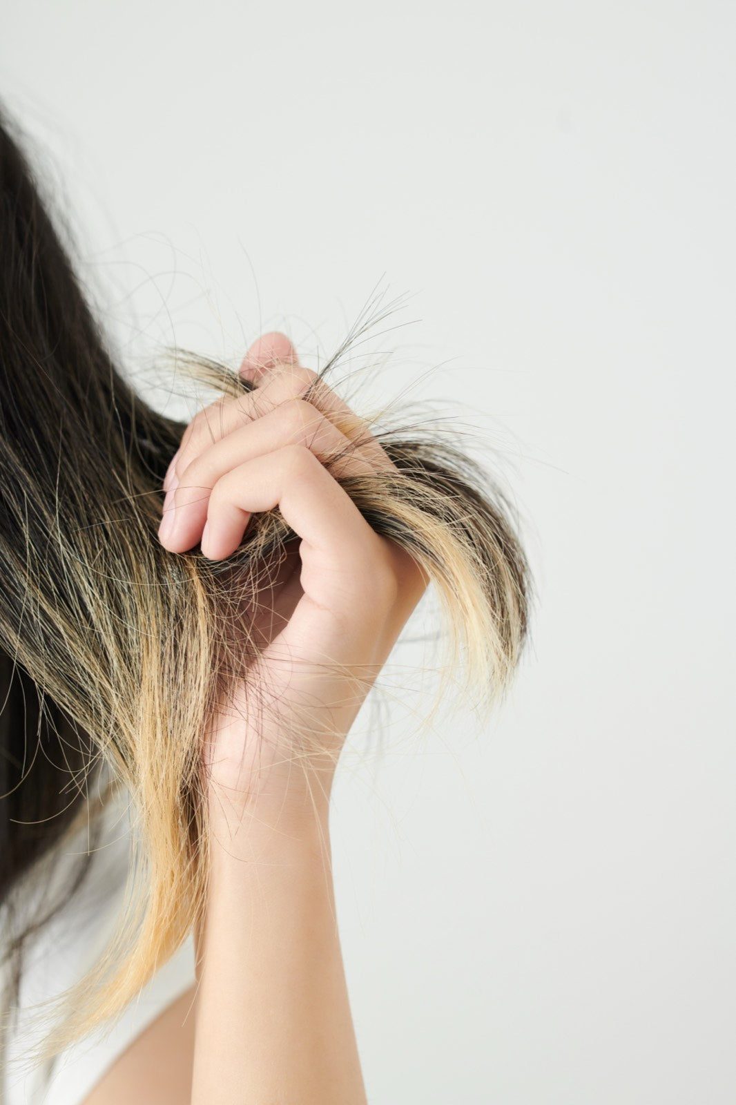 Abgebrochene Haare mit abstehenden Bruchstellen in dunklem, blondiertem Haar
