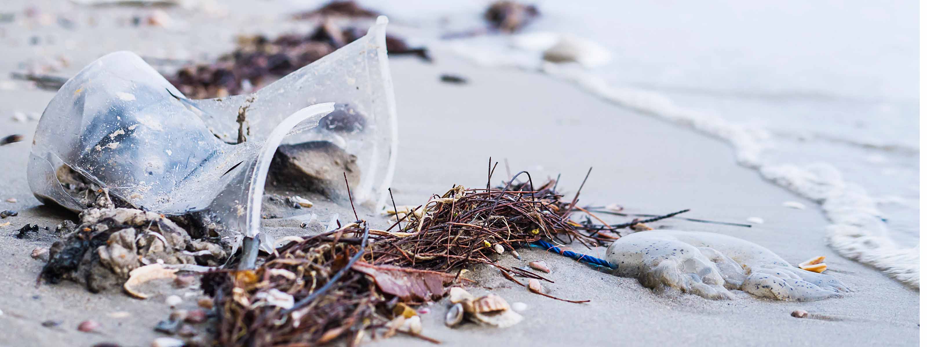 Plastikmüll, Algen und Muscheln bedecken einen Sandstrand in der Nähe der Wasserkante.