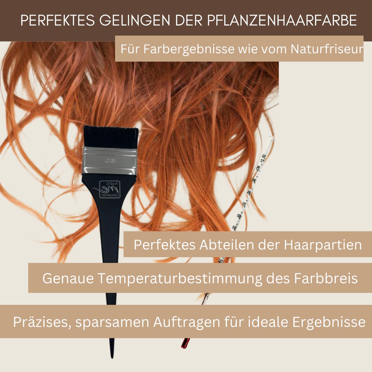 Economy set professional plant hair colors accessories set complete (brush + thermometer)