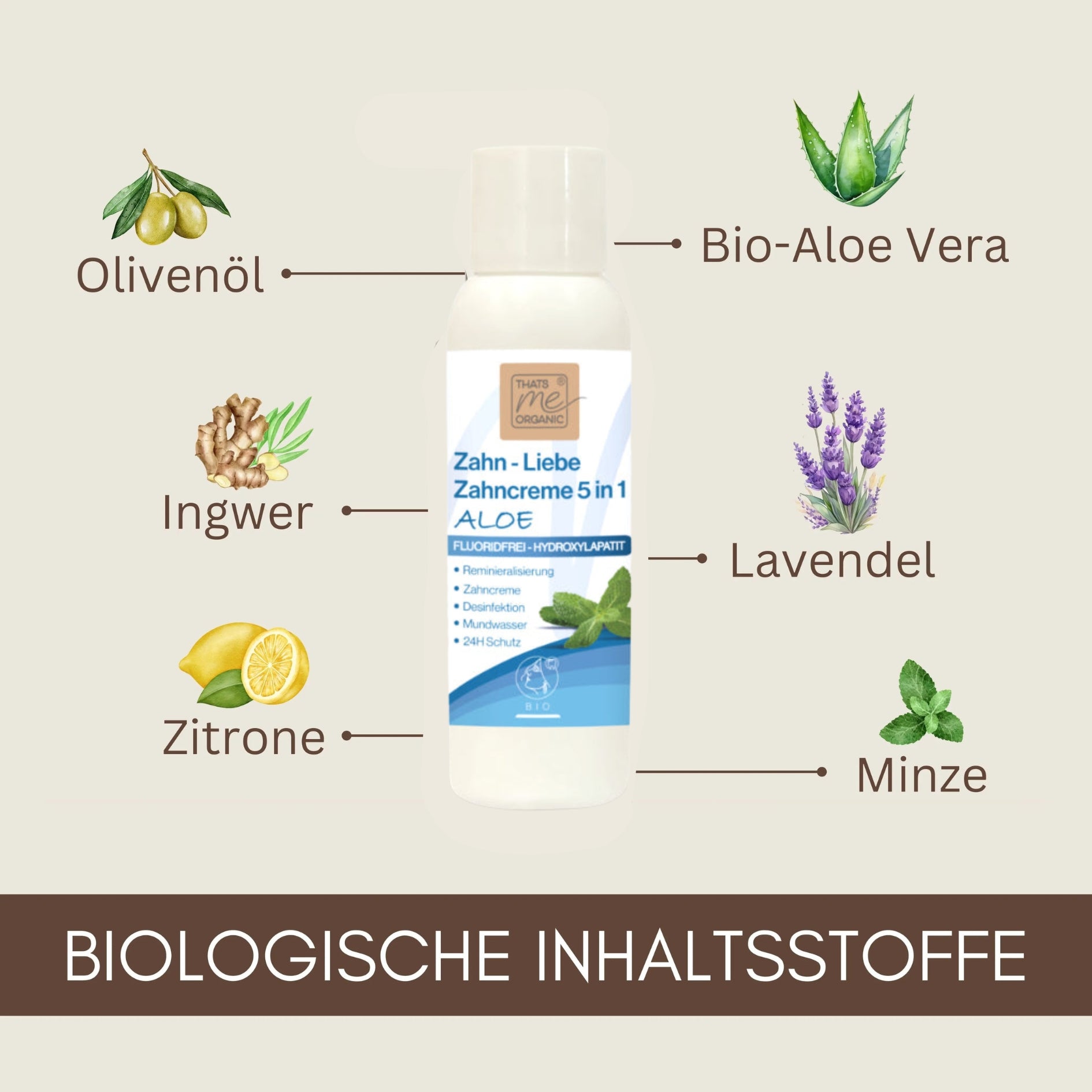 Eine Flasche Thats me organic® BIO-Zahncreme, umgeben von Olivenöl, Aloe Vera, Ingwer, Zitrone, Lavendel und Minze - natürlich fluoridfrei für eine sanfte Mundpflege.