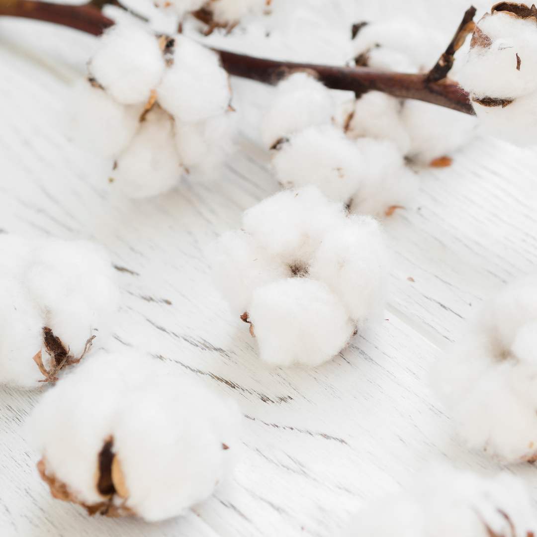 Angerührte Pflanzenhaarfarbe in Schale mit Pinsel – vorbereitet für die Anwendung mit Watte-Wally Schutzband.