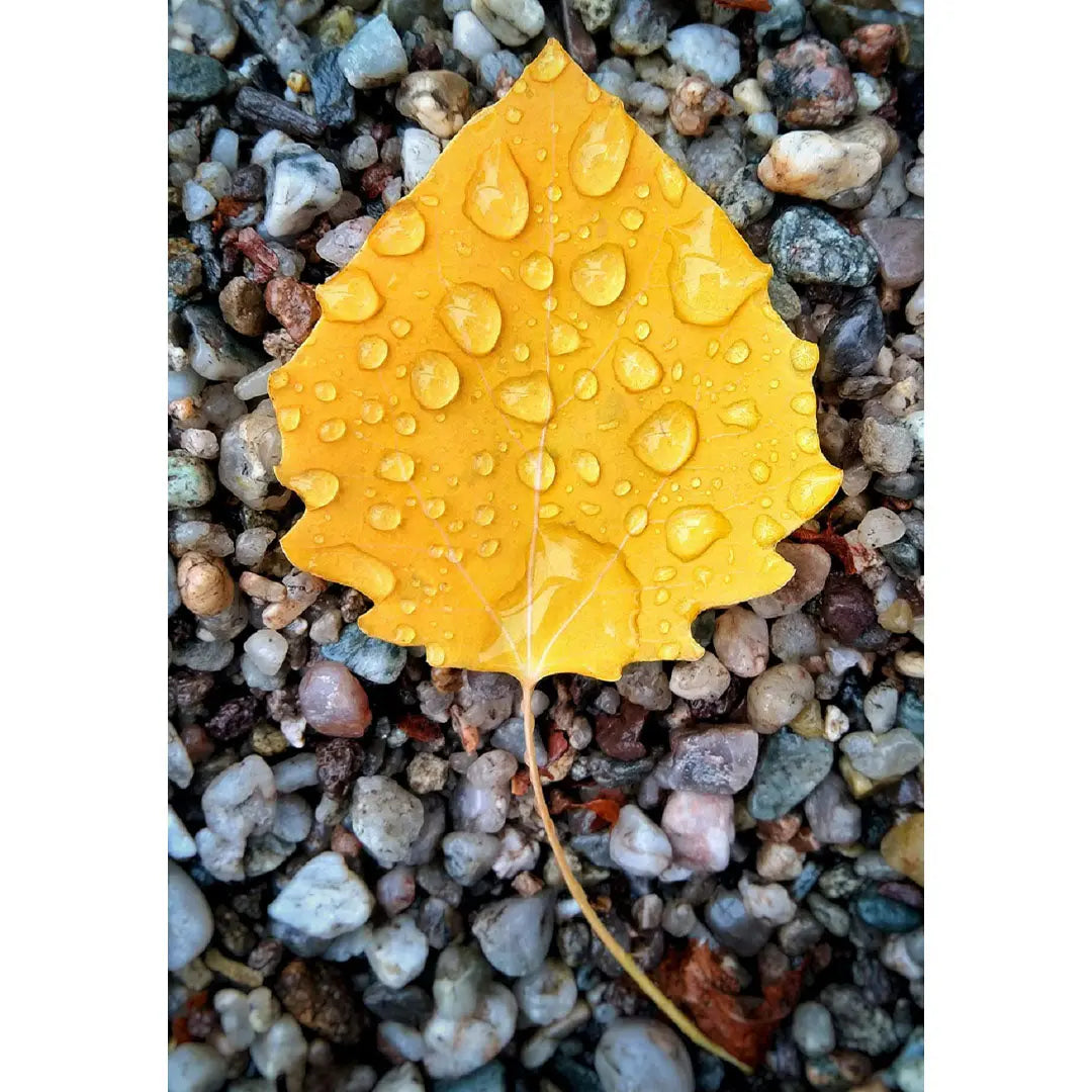 SOLARPLEXUS-CHAKRA Aromatherapie Aura-, Raumduft-, Yoga- & Meditationsspray BALANCE (gelb)