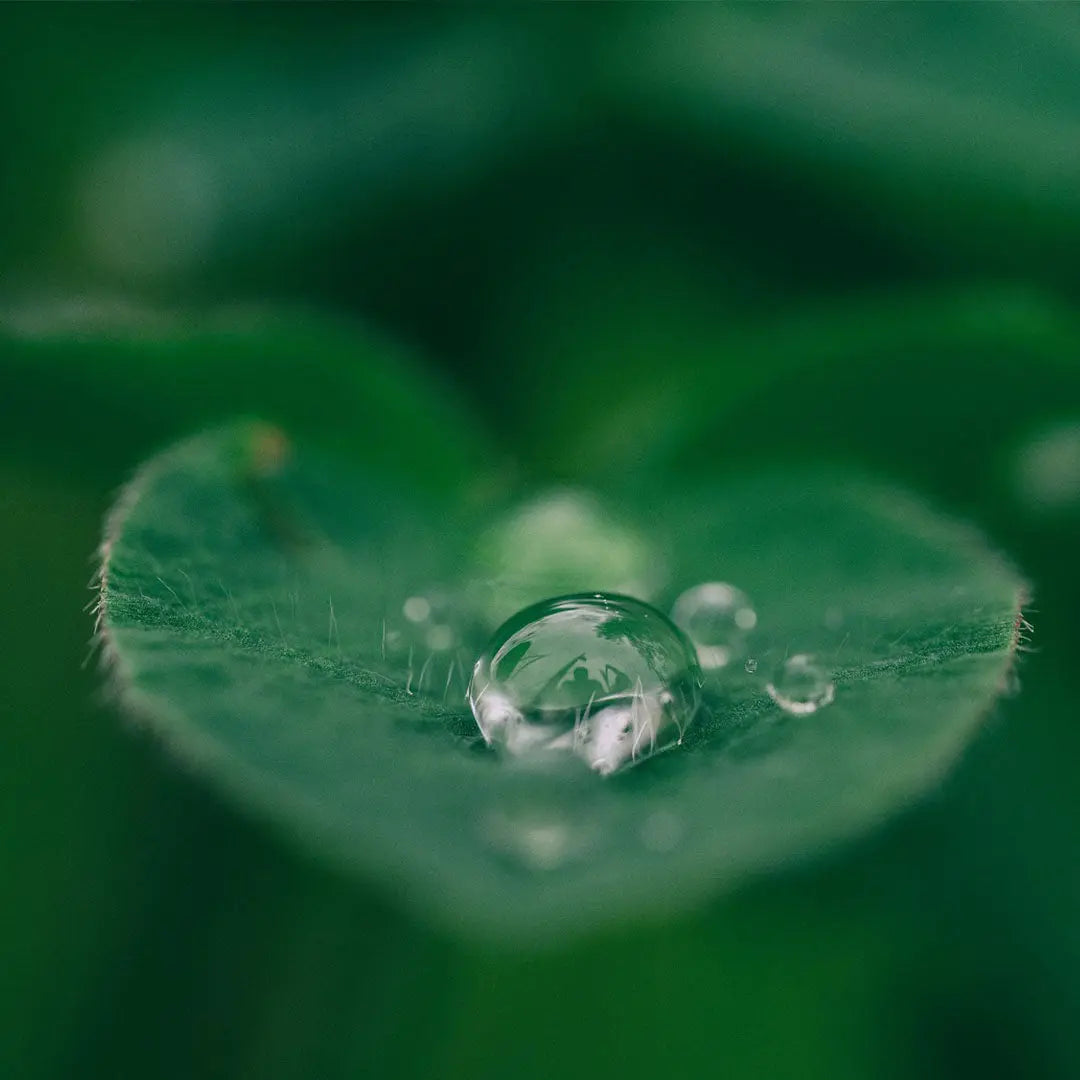 Bio-HERZ-CHAKRA Aromatherapie Aura-, Raumduft-, Yoga- & Meditationsspray VERBUNDENHEIT (grün)