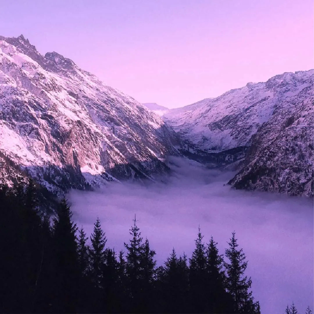 My CROWN CHAKRA profumo per ambienti spray EINSSEIN (viola)