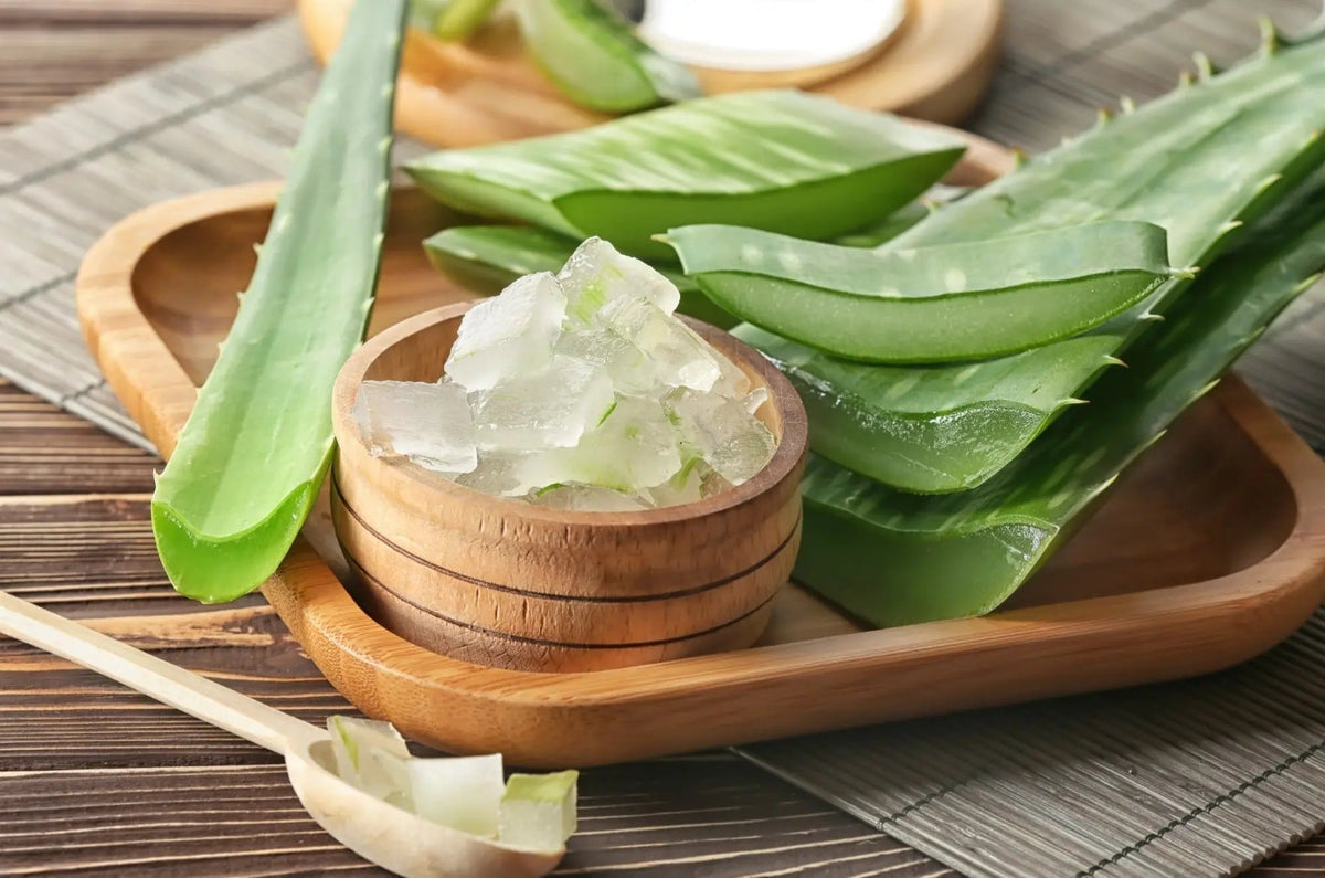 Wie schtze ich meine Haut und mein Haar vor der Sonne? Aloe Vera