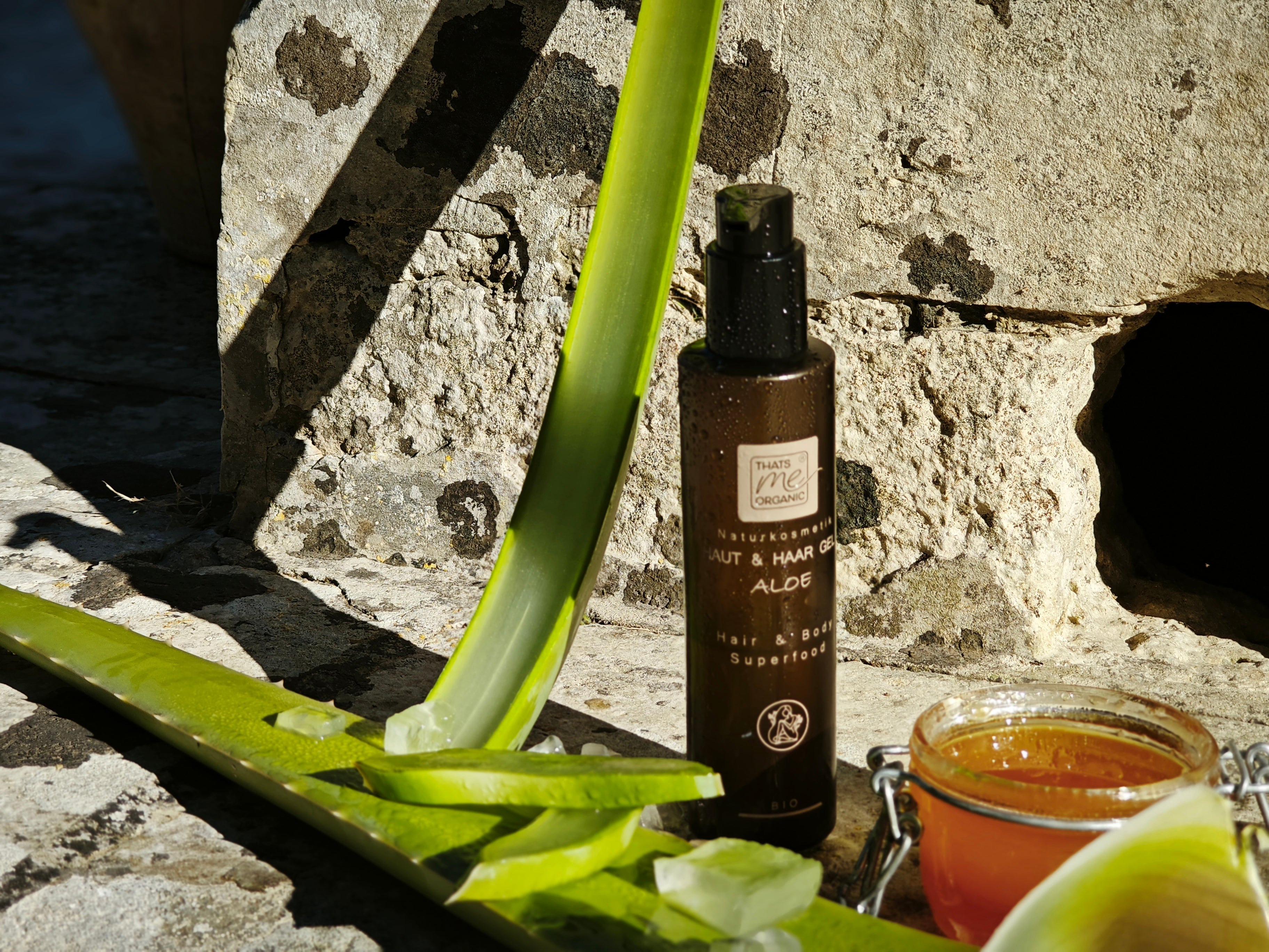 Aloe Vera – die Heilpflanze voller Frische & natürlicher Pflege