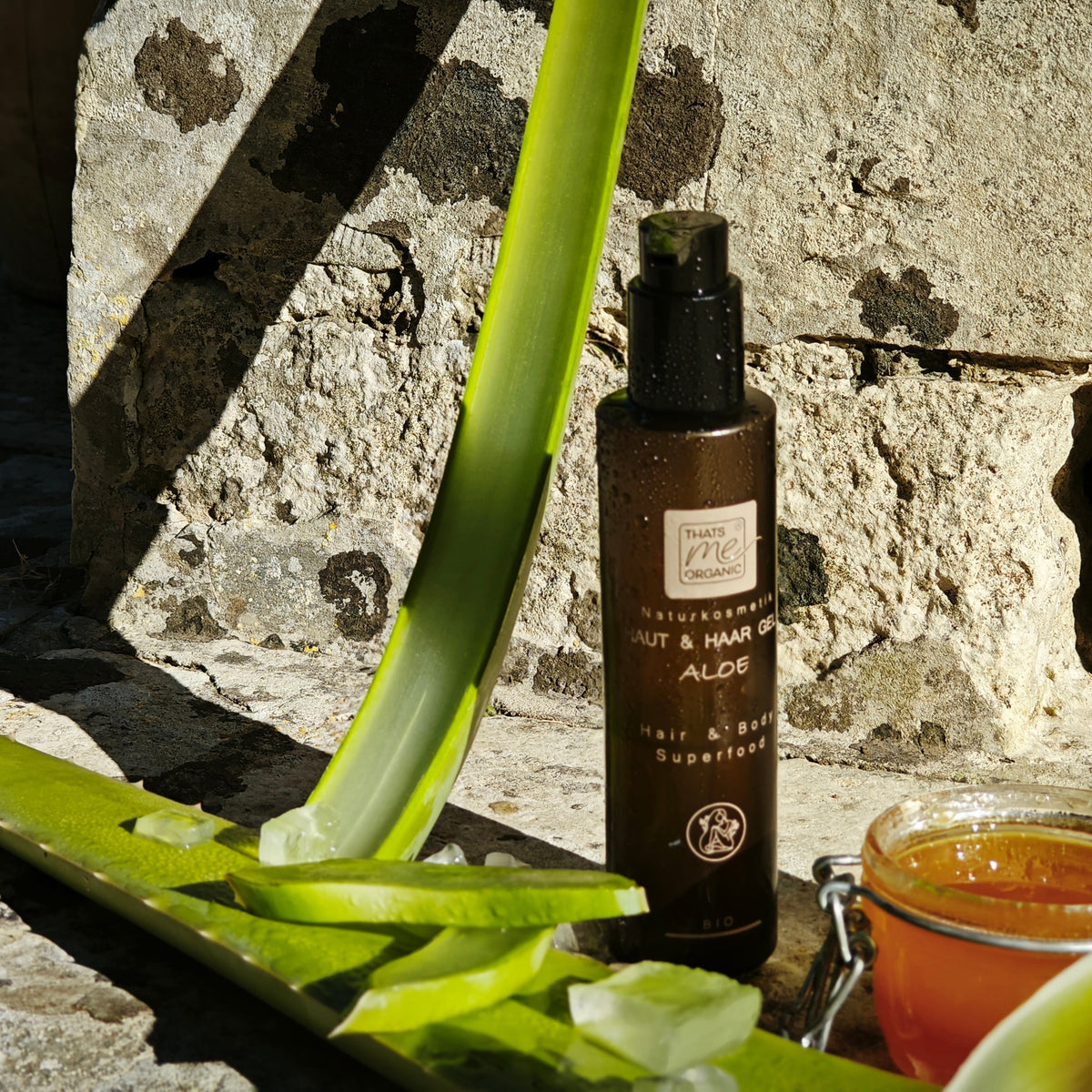 Aloe Vera  Wirkung, Anwendung & Pflege fr Haut und Haar