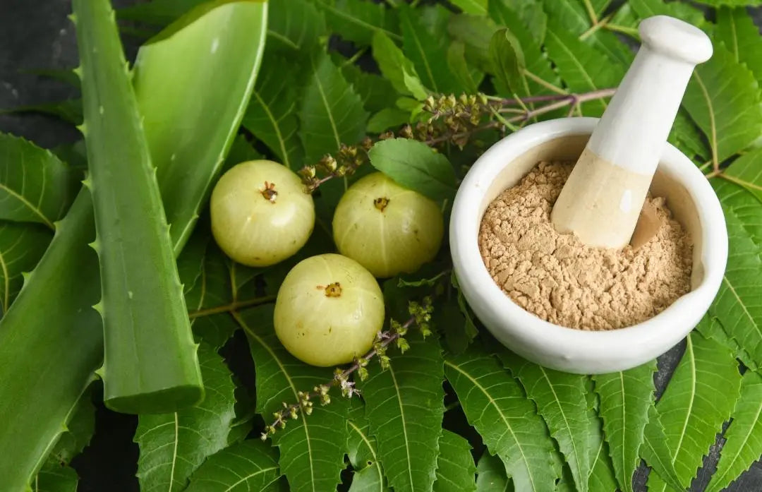 Amla - der Booster für Haut und Haare