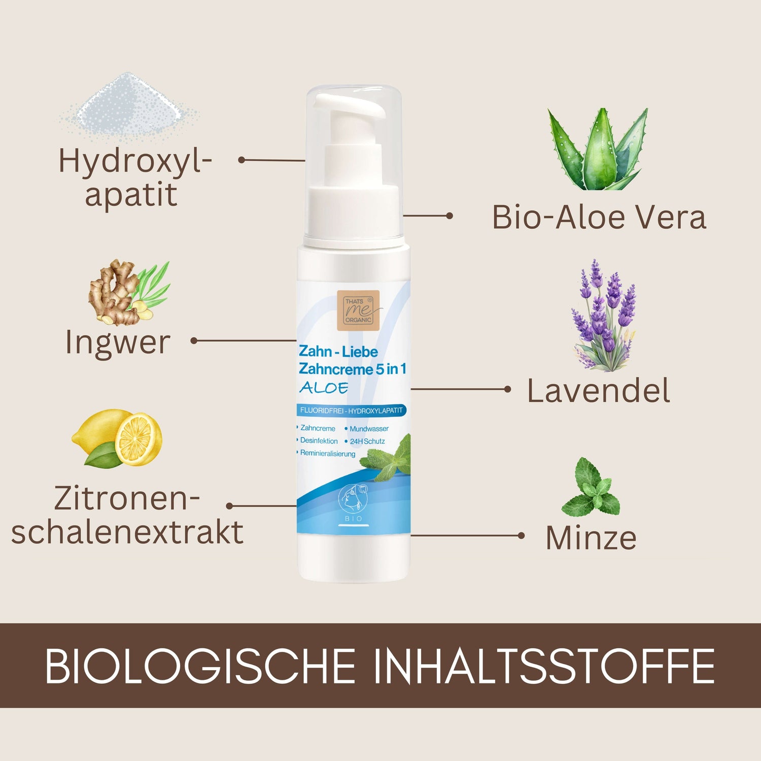 Hydroxylapatit: Natürlich stark für deine Zähne