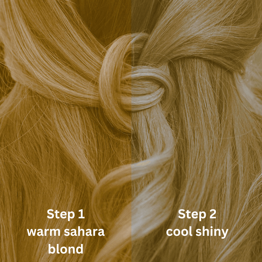 Professional plant hair color SET cool Sahara blonde "cool Sahara blonde in 2 steps" 