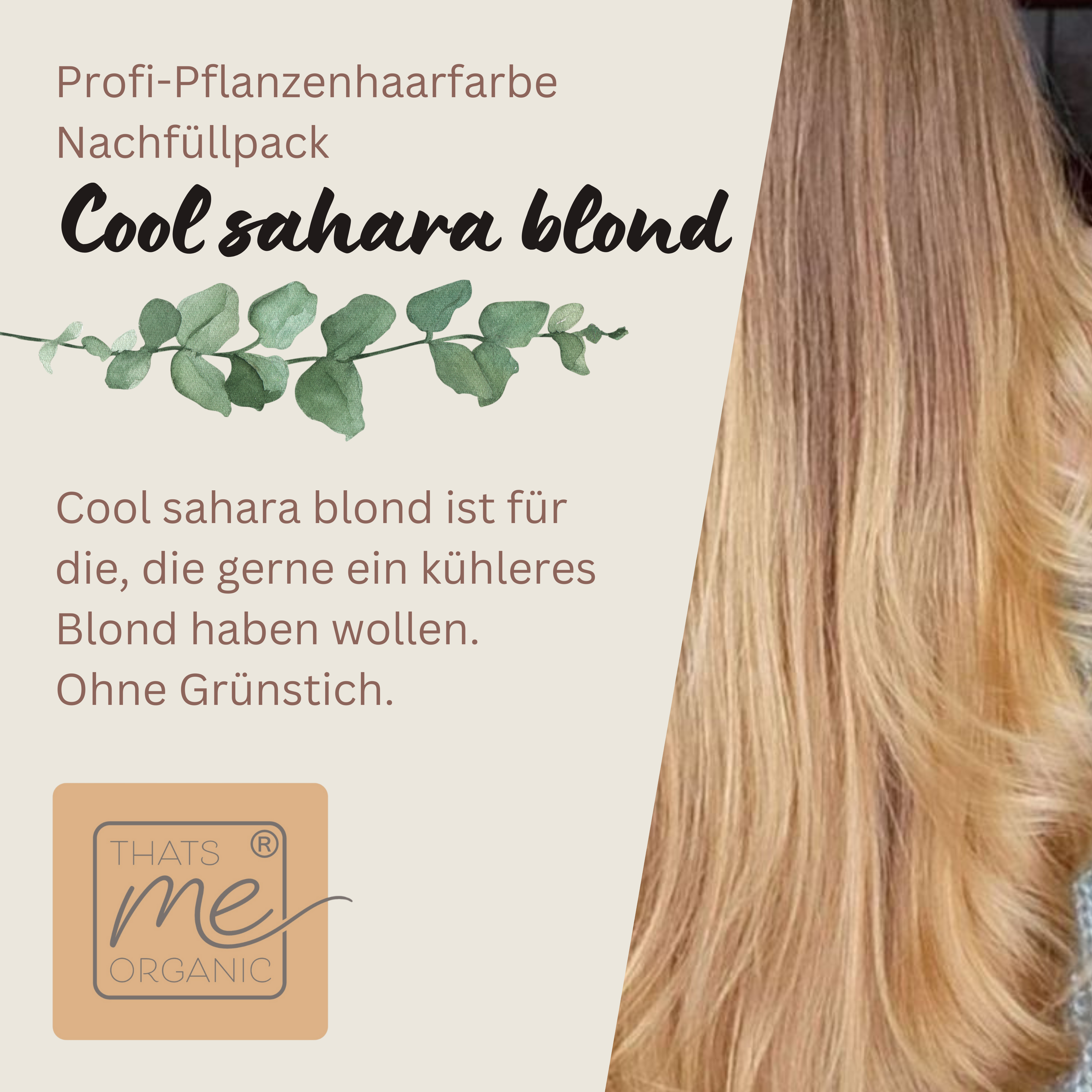 Professional plant hair color cool Sahara blonde "cool Sahara blonde in 2 steps" 2x 90g refill packs 