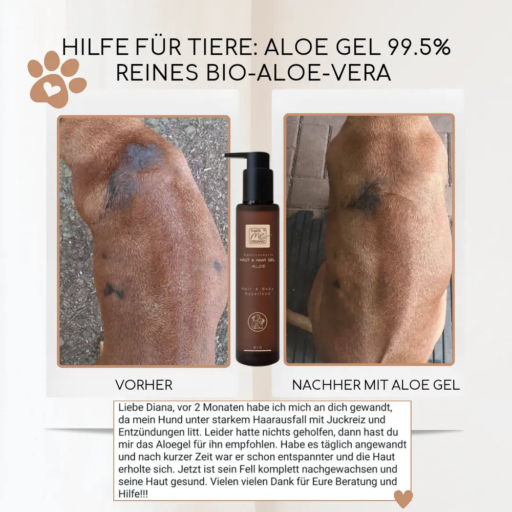 BIO Aloe Vera Gel 2in1 Hair + Body Superfood 200ml Naturkosmetik