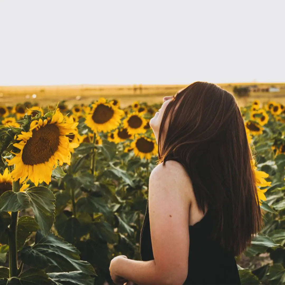 Limited Edition 300g Profi-Pflanzenhaarfarbe warmes Marokko-Braun "warm marocco brown"