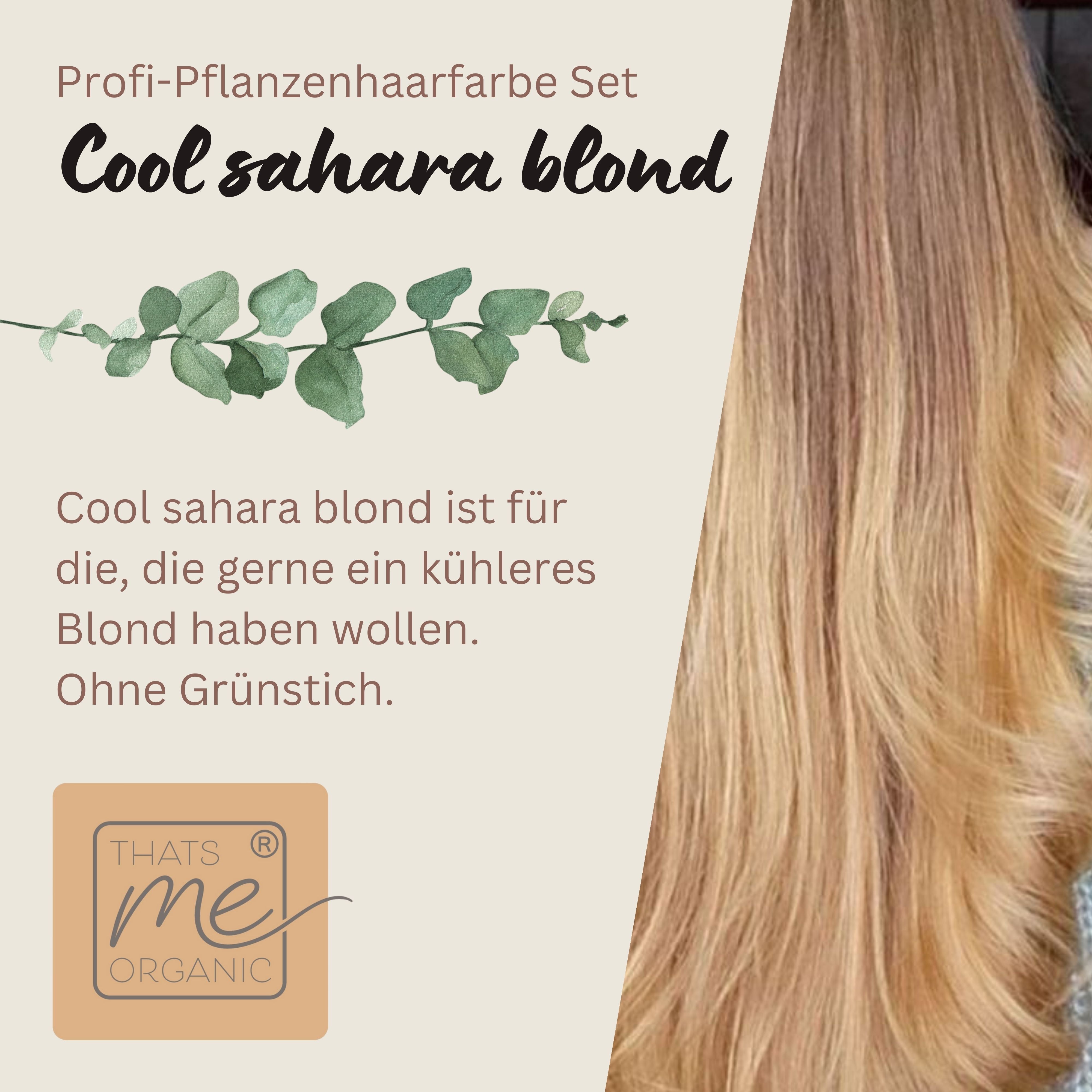 Profi-Pflanzenhaarfarbe kühles Sahara-Blond "cool sahara blond in 2-Steps" 2x 90g Nachfüllpacks