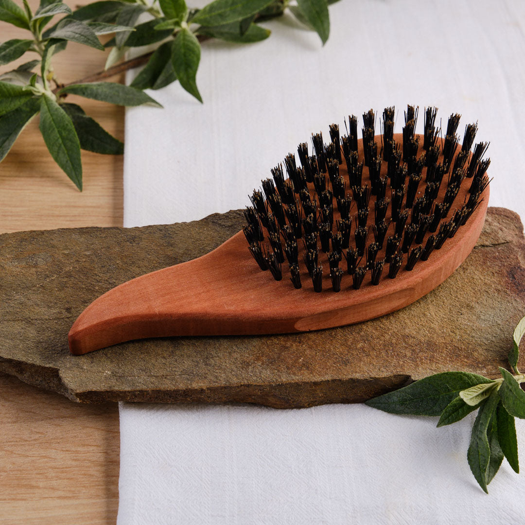 Economy set professional hair brush teardrop shape + brush cleaner + care shampoo