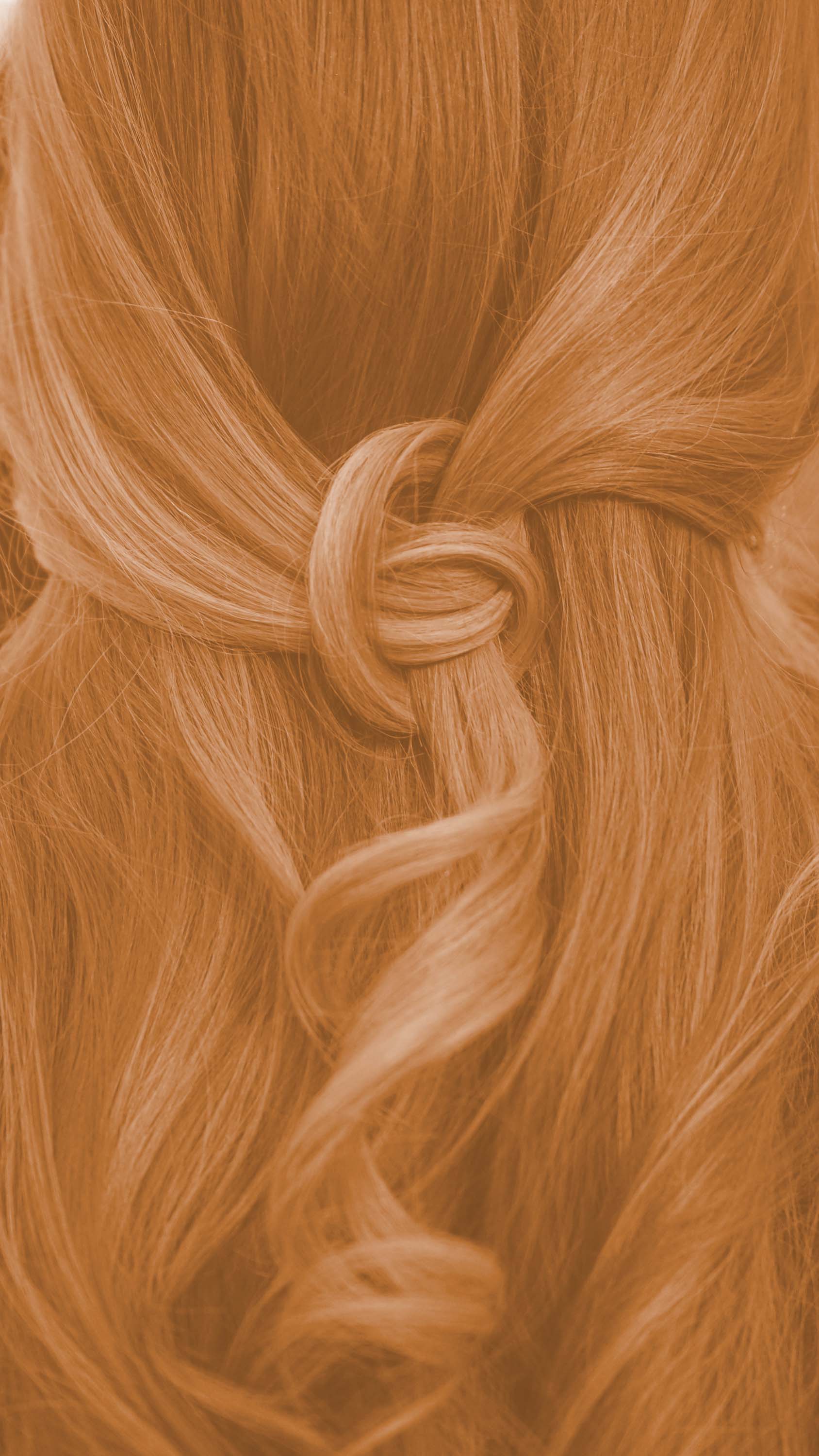 Limited Edition Profi-Pflanzenhaarfarbe "warmes helles Kupfer-Blond - warm tizian blond" 300g