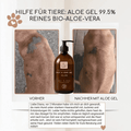 Bio Aloe Vera Gel von Thats me organic zur Pflege bei Hautproblemen beim Hund – Vorher Nachher Anwendung für Haut und Fell