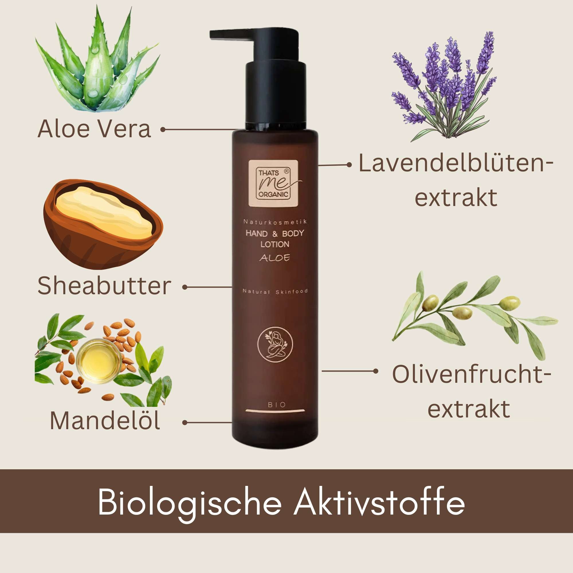 Bio Hand and Body Lotion Aloe mit Aloe Vera, Sheabutter, Mandelöl, Lavendelblütenextrakt und Olivenfruchtextrakt.