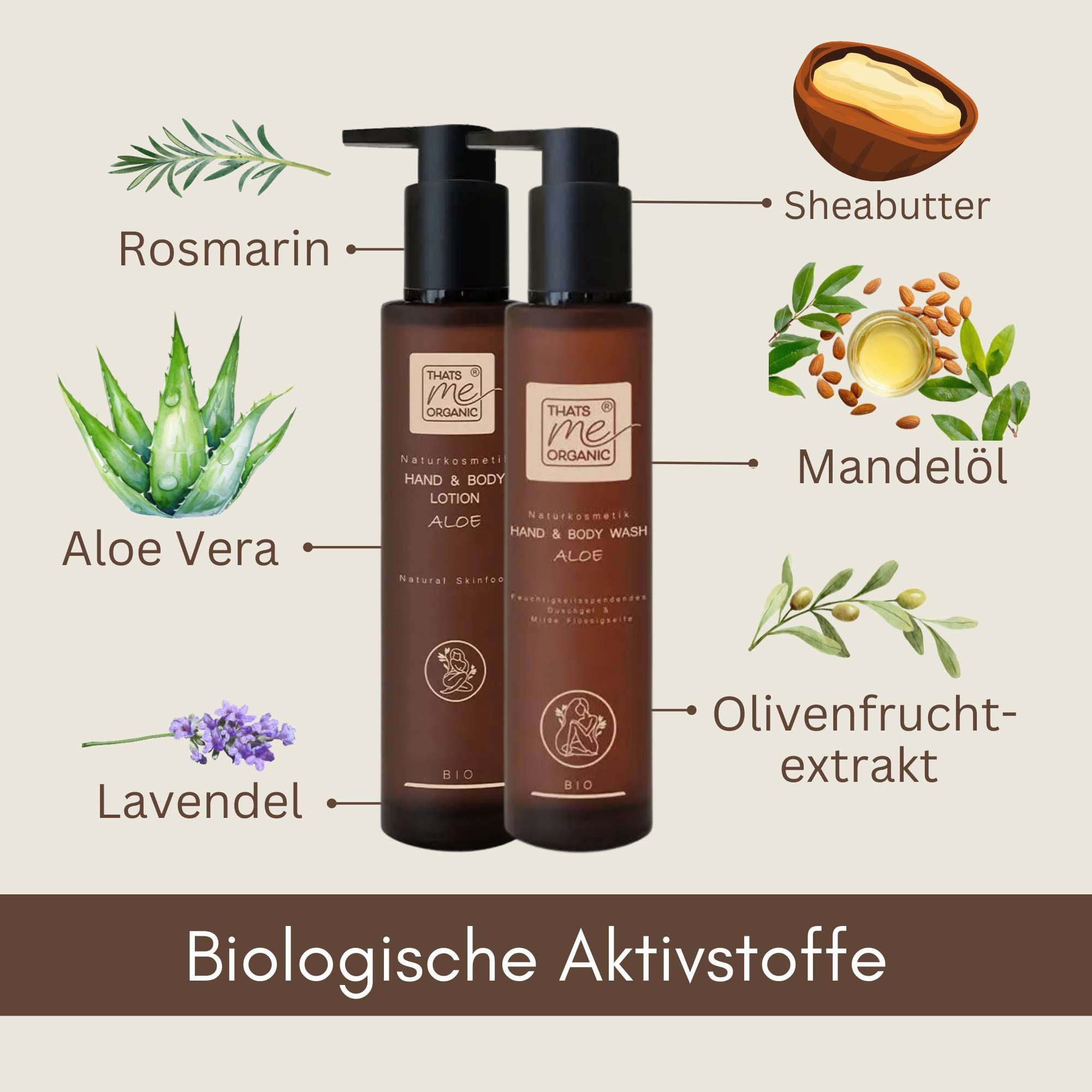 Hand and Body Set Aloe mit Aloe Vera, Rosmarin, Lavendel, Mandelöl, Sheabutter und Olivenfruchtextrakt.