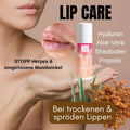 Premium Bestseller Set – 7 Bio-Kosmetik Produkte von Thats me Organic | Natürlich umsteigen & sparen
