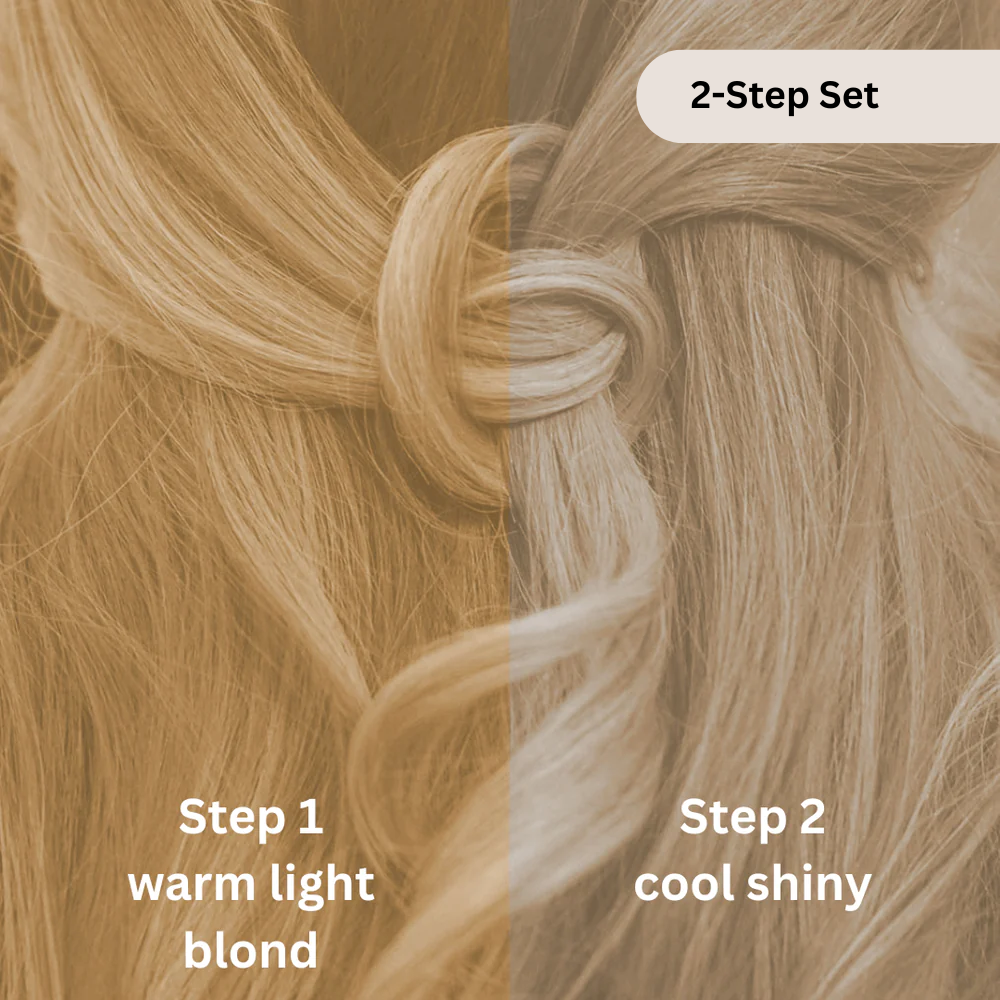 Professional plant hair color SET cool light blonde "cool light blonde in 2 steps"