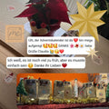 Bewertung einer Käuferin