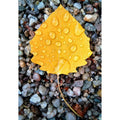 SOLARPLEXUS-CHAKRA Aromatherapie Aura-, Raumduft-, Yoga- & Meditationsspray BALANCE (gelb)