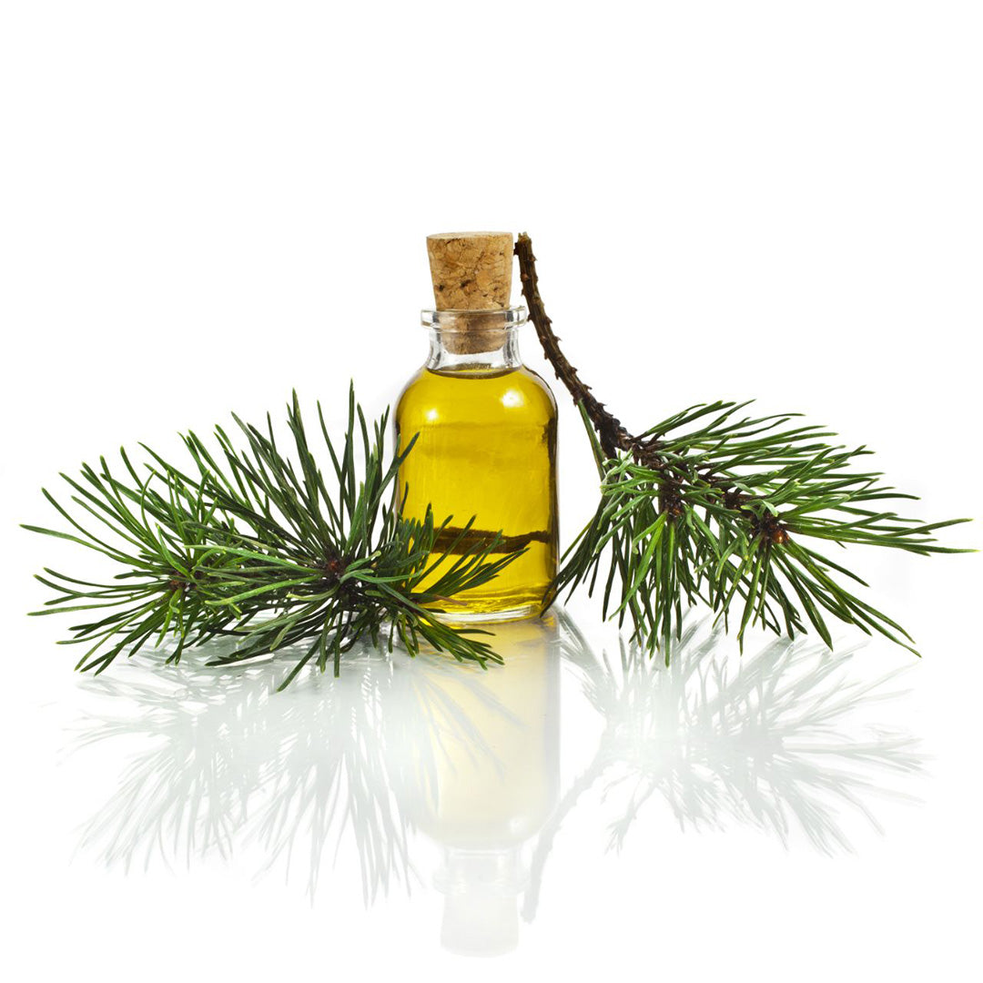 Zirbenkraft olio per barba e viso con olio di pino e vinaccioli 30 ml cosmetici naturali vegan fatti a mano