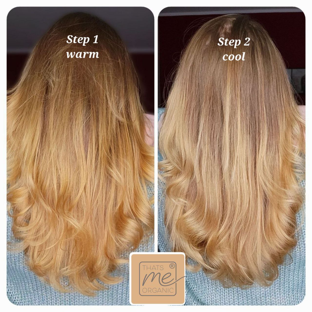 Professional plant hair color cool Sahara blonde "cool Sahara blonde in 2 steps" 2x 90g refill packs 